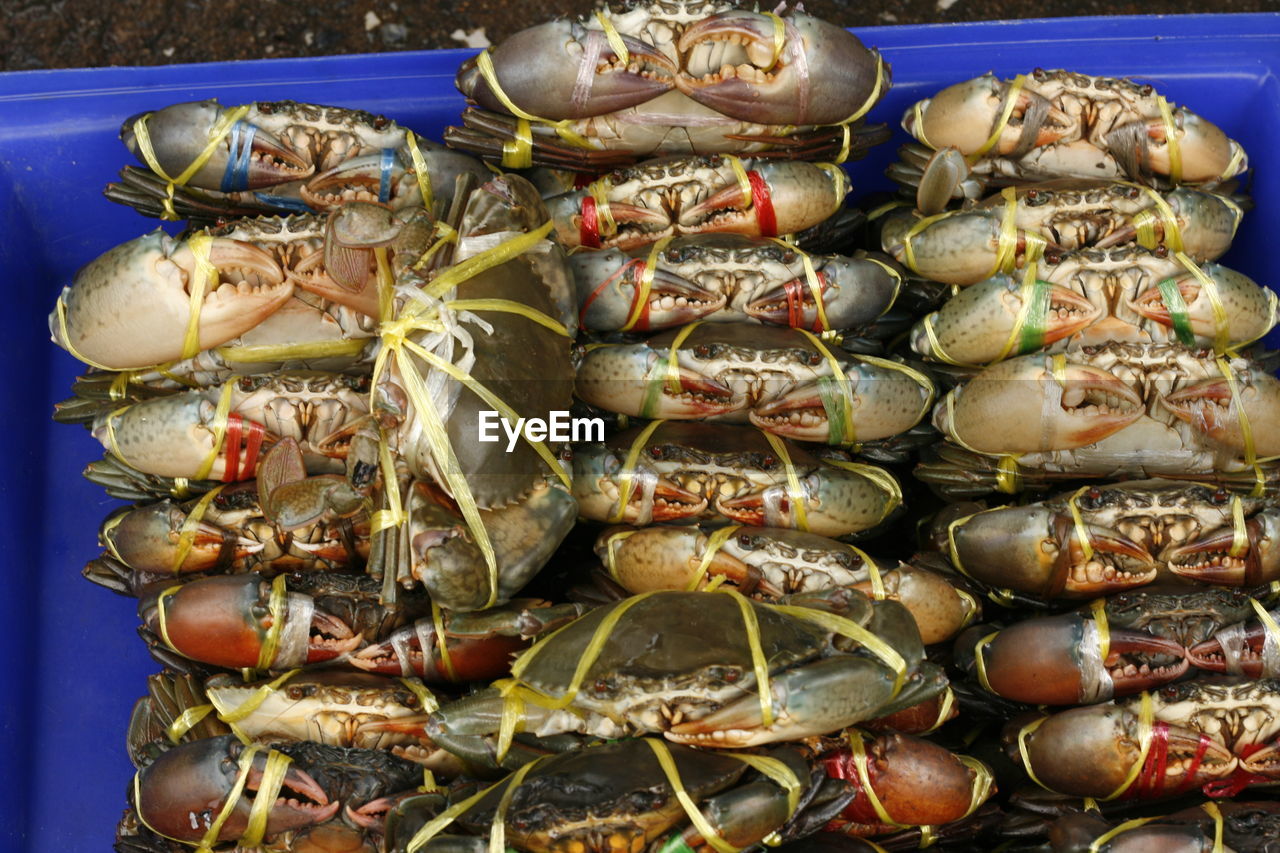 Close-up of crabs in crate for sale at fish market