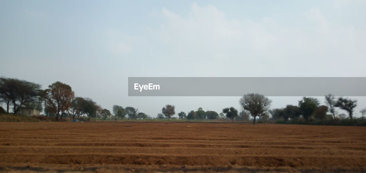 SCENIC VIEW OF FARM AGAINST SKY