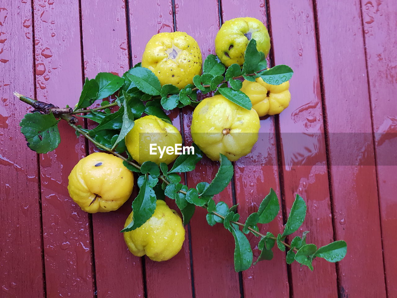 yellow, healthy eating, food, food and drink, fruit, wood, wellbeing, freshness, plant, leaf, citrus, lemon, plant part, citrus fruit, no people, flower, green, produce, directly above, nature, high angle view, outdoors, still life, day, table, close-up