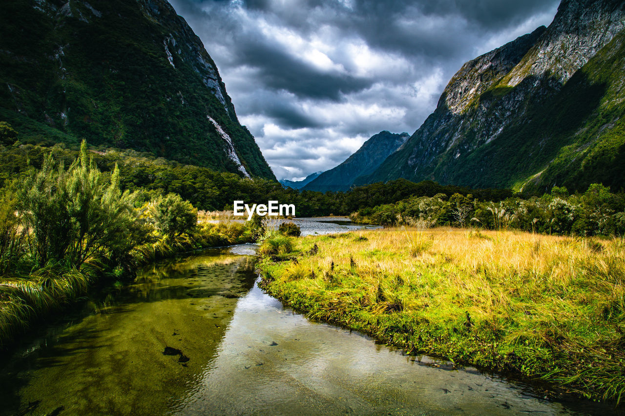 Milford track