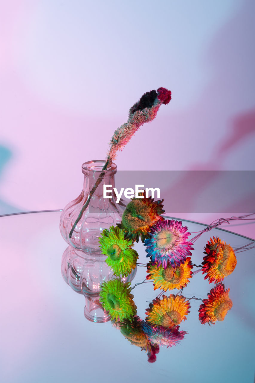 Close-up of flowers on table against wall