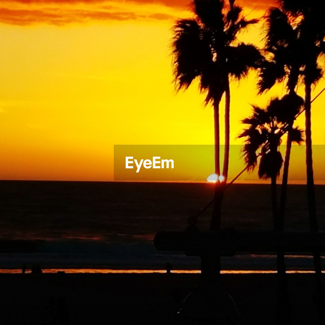 SILHOUETTE PALM TREE ON BEACH AGAINST SKY DURING SUNSET