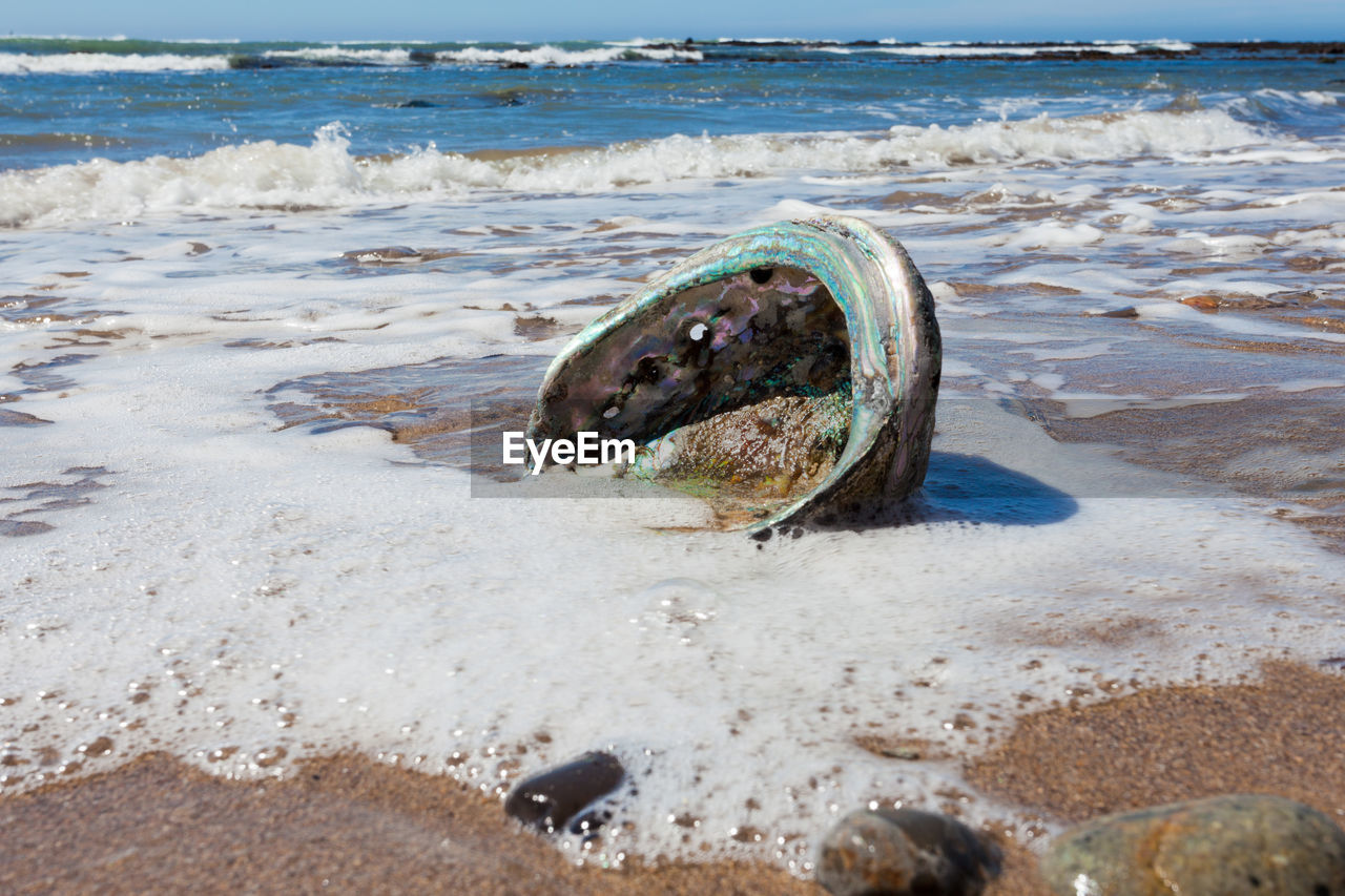 SURFACE LEVEL OF SEA SHORE