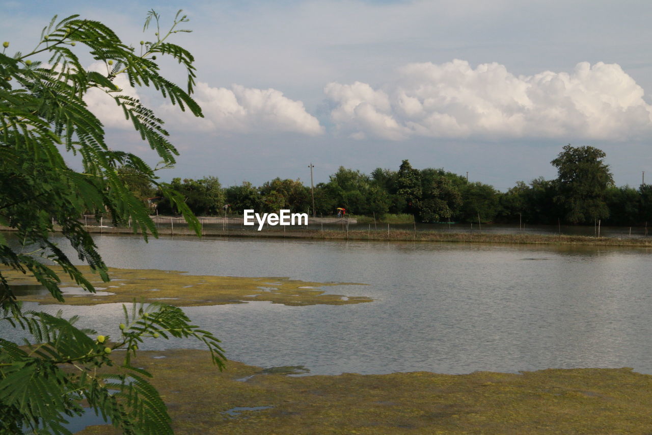 LAKE AGAINST SKY