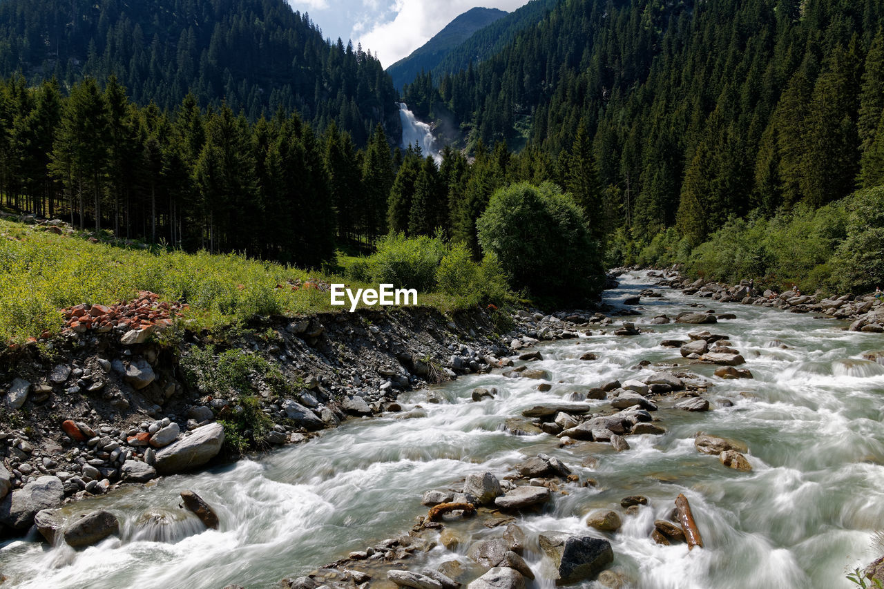 Stream flowing through rocks in forest