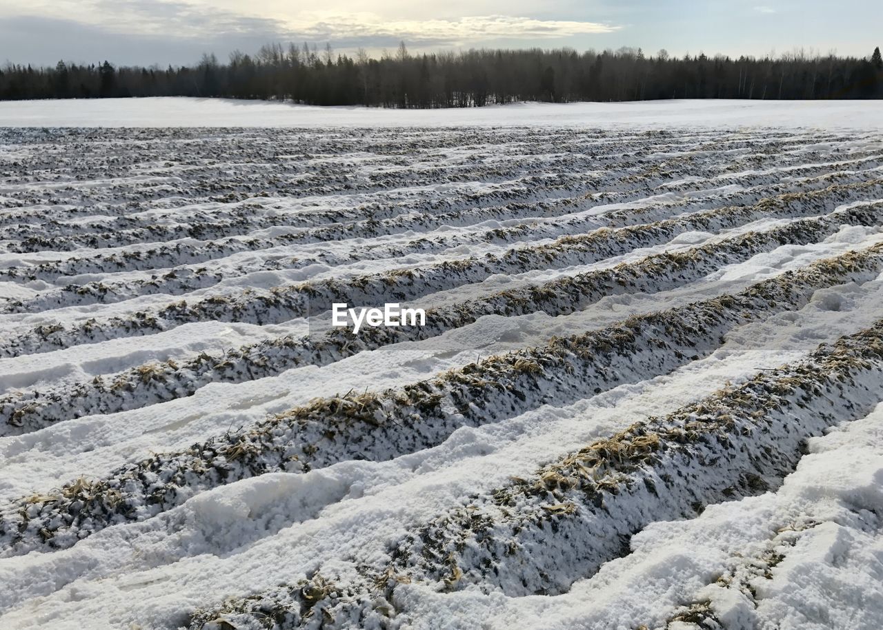 SCENIC VIEW OF LANDSCAPE DURING WINTER