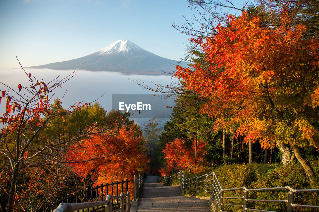 Autumn scene at entrance to arakura sengen shrine, the path leading to the chureito pagoda