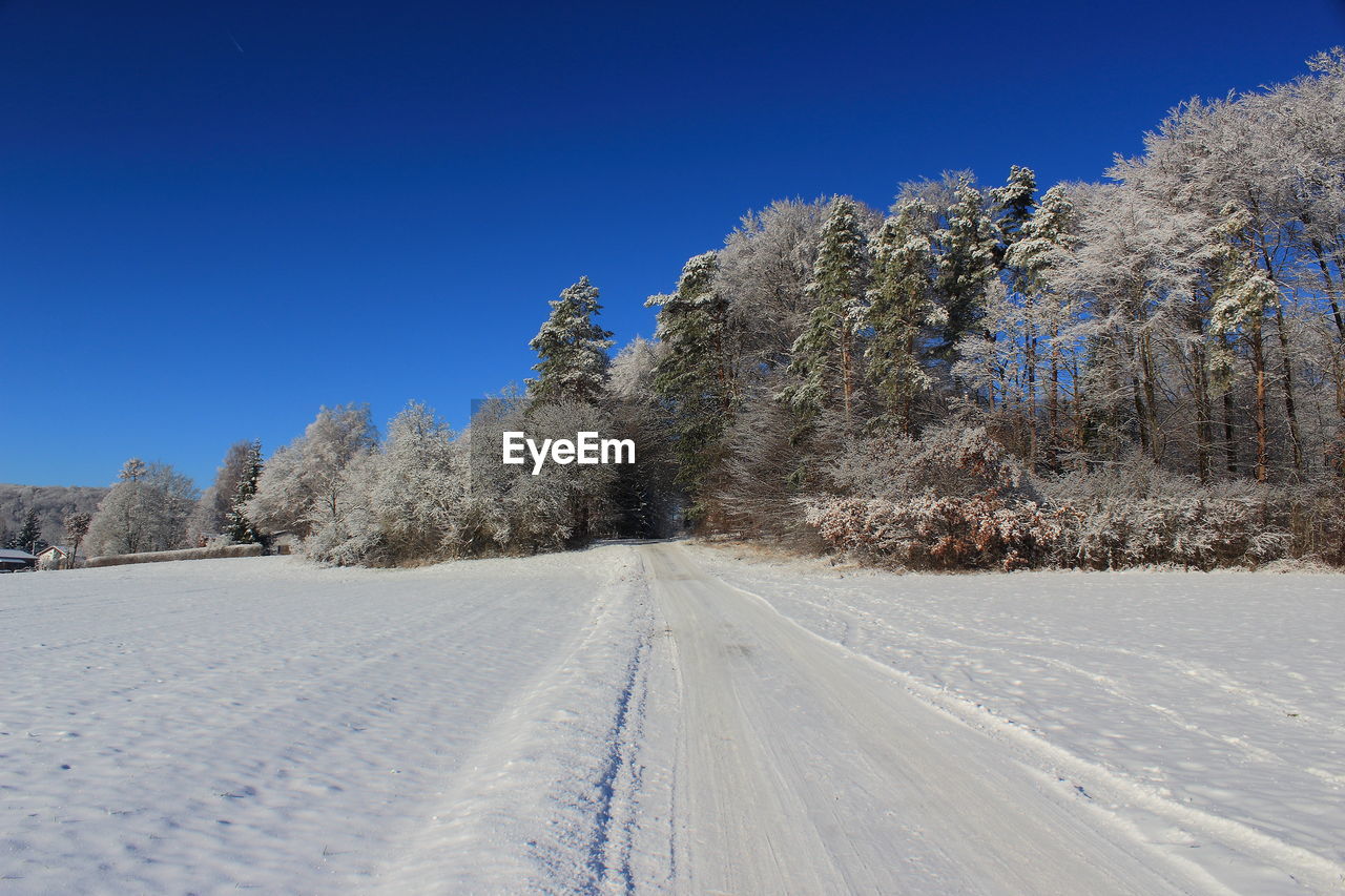 Trees on snow covered field against clear blue sky