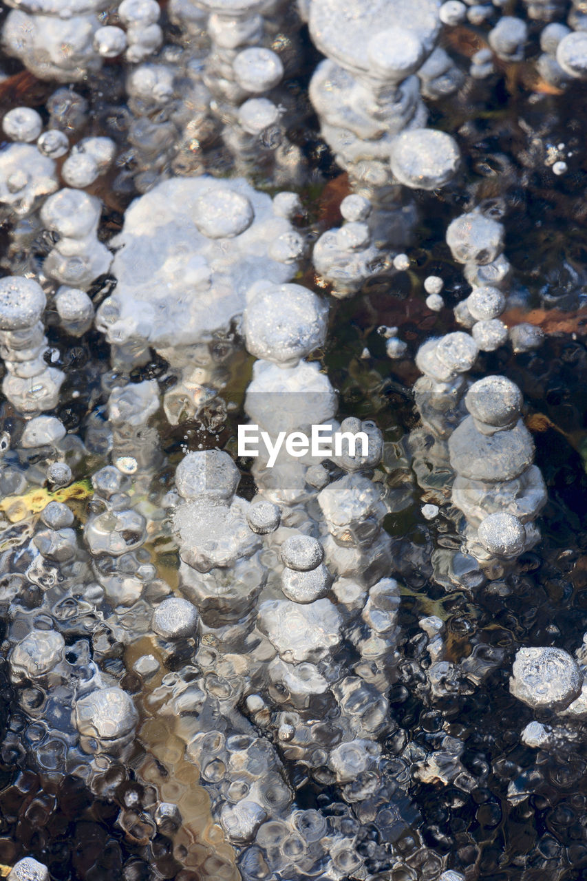 HIGH ANGLE VIEW OF STONES ON ROCK