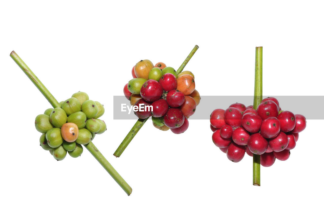 CLOSE-UP OF RED BERRIES OVER WHITE BACKGROUND