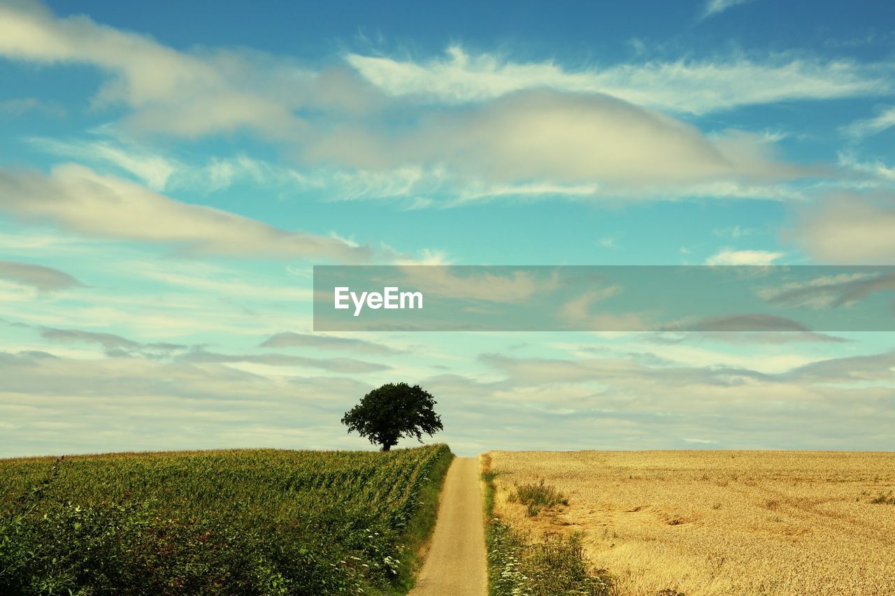 Scenic view of landscape against sky