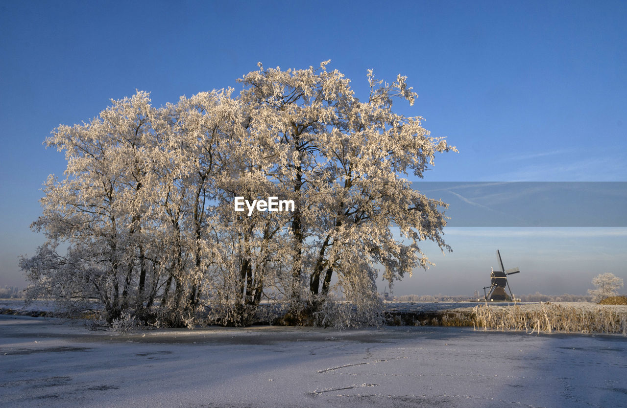 Snow covered trees by frozen pond against sky