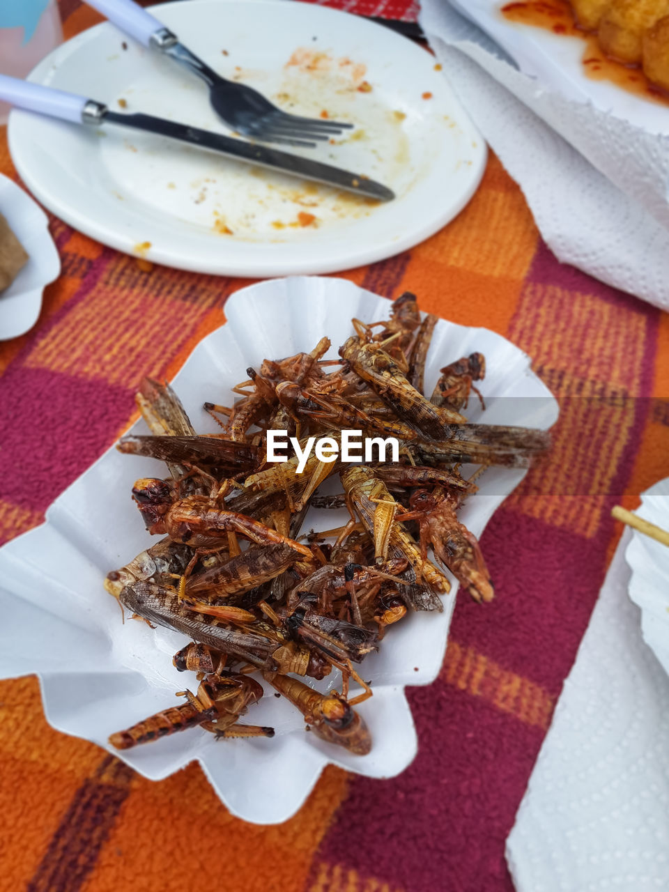 High angle view of fried crickets at thai preussenpark, berlin