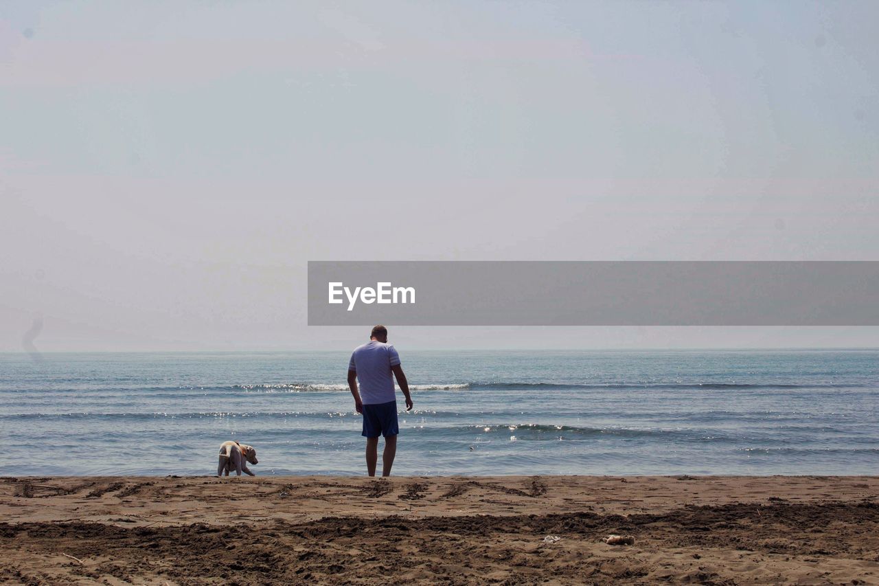 Rear view of dog and aman on beach