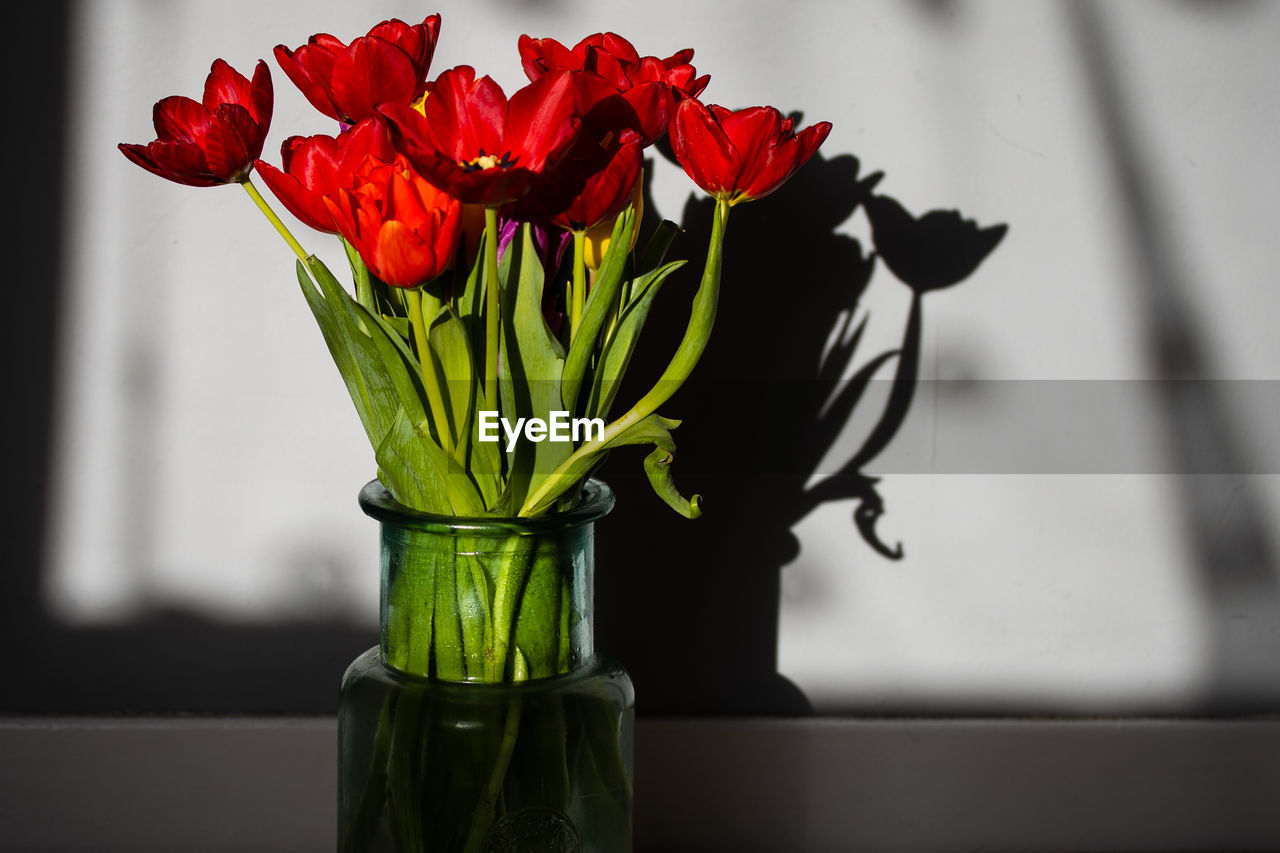 CLOSE-UP OF RED ROSE IN VASE