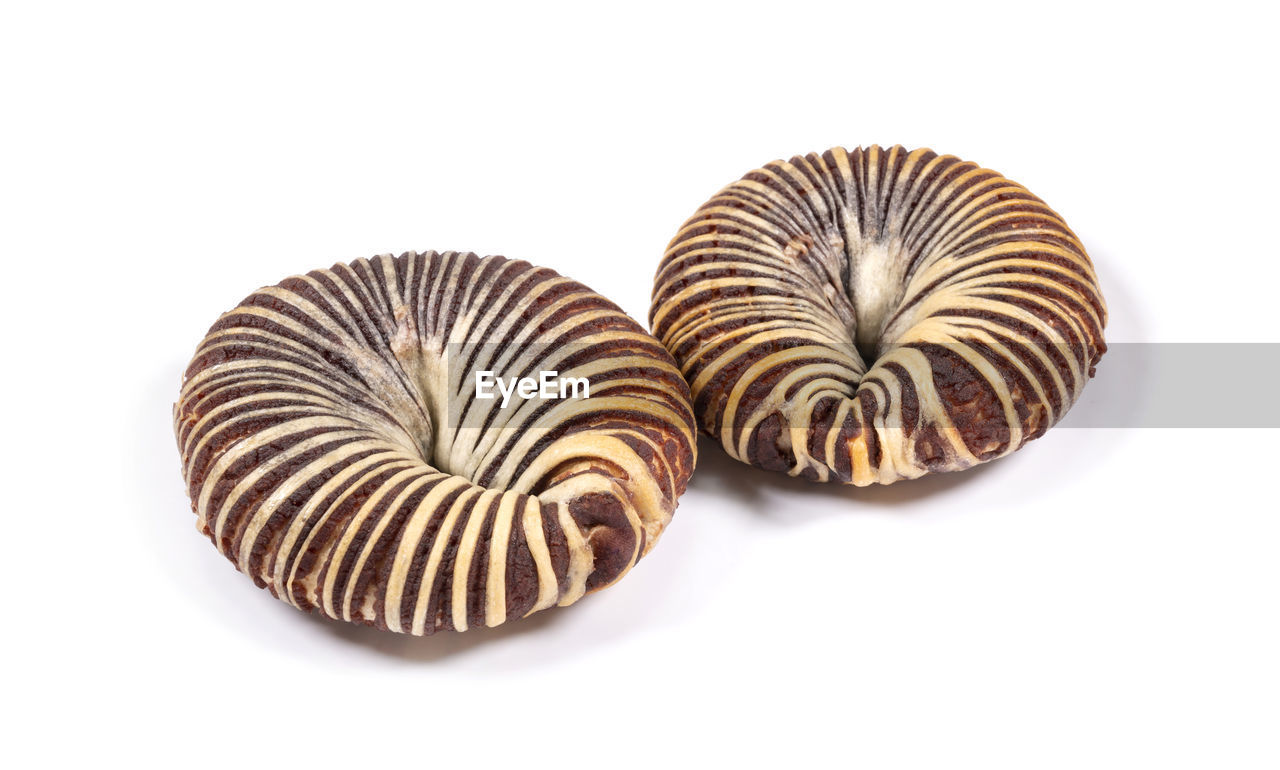 white background, studio shot, cut out, spiral, food, brown, no people, food and drink, animal, animal wildlife, indoors, striped, animal themes, close-up, shell, pattern, animal shell