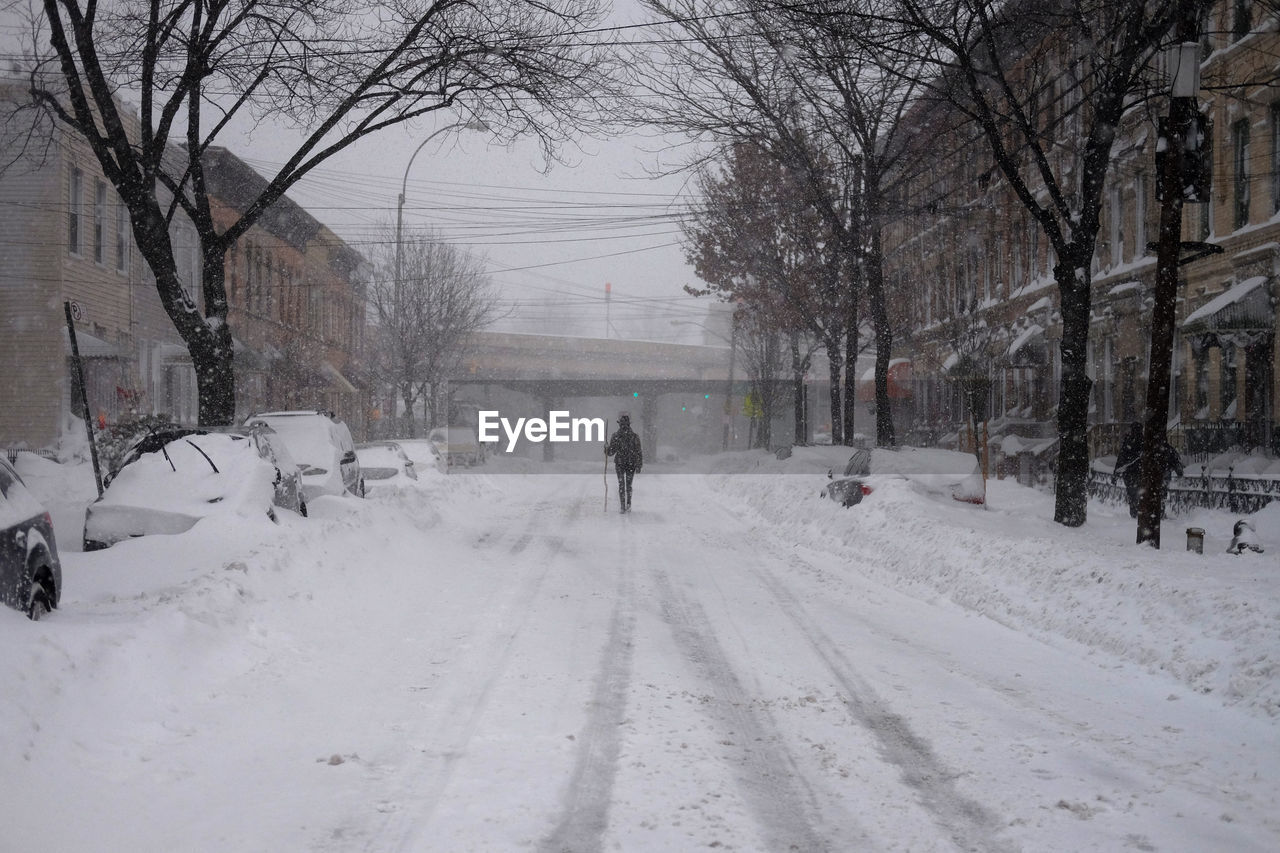 View of bare trees in city during winter