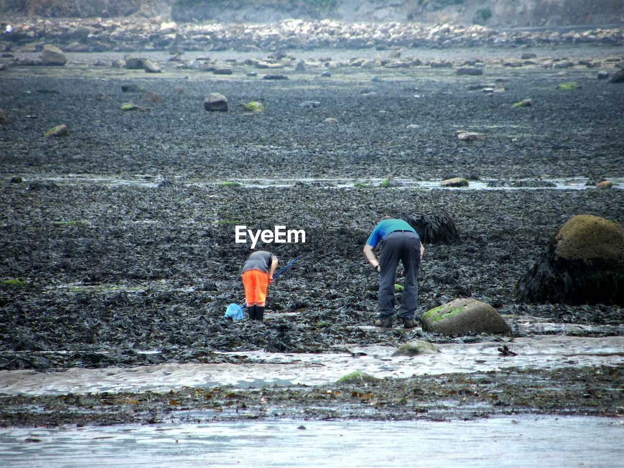 Father and child exploring rockpools