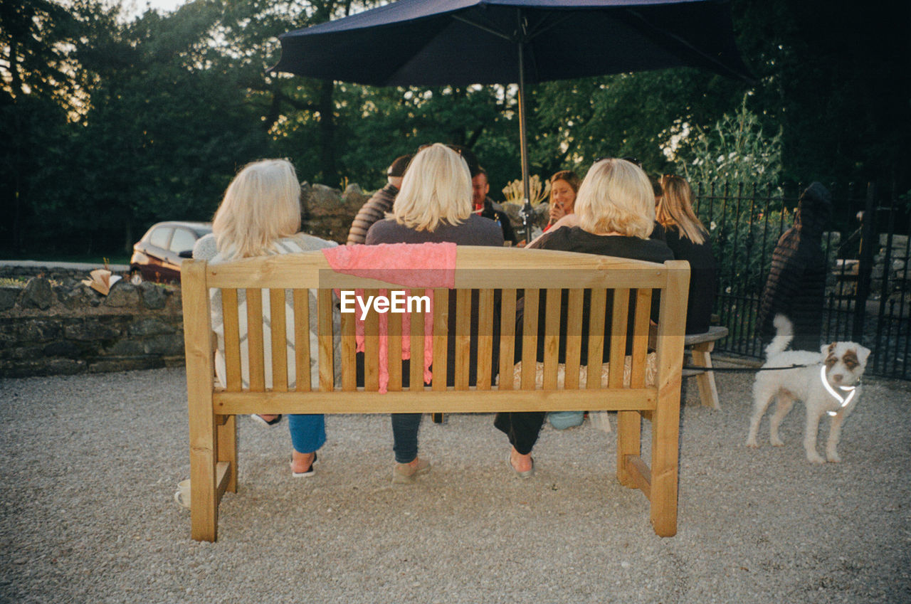 REAR VIEW OF WOMEN SITTING ON SEAT