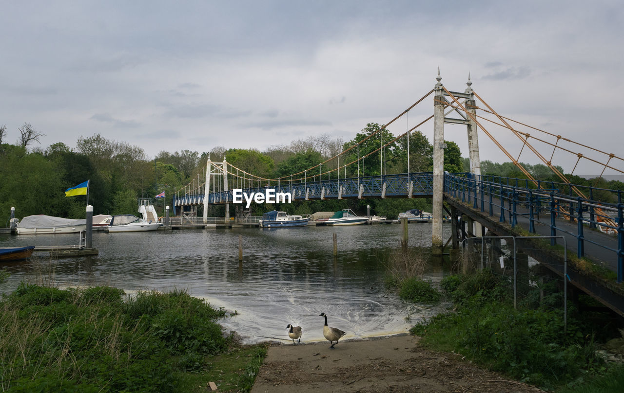 View of bridge over river against sky