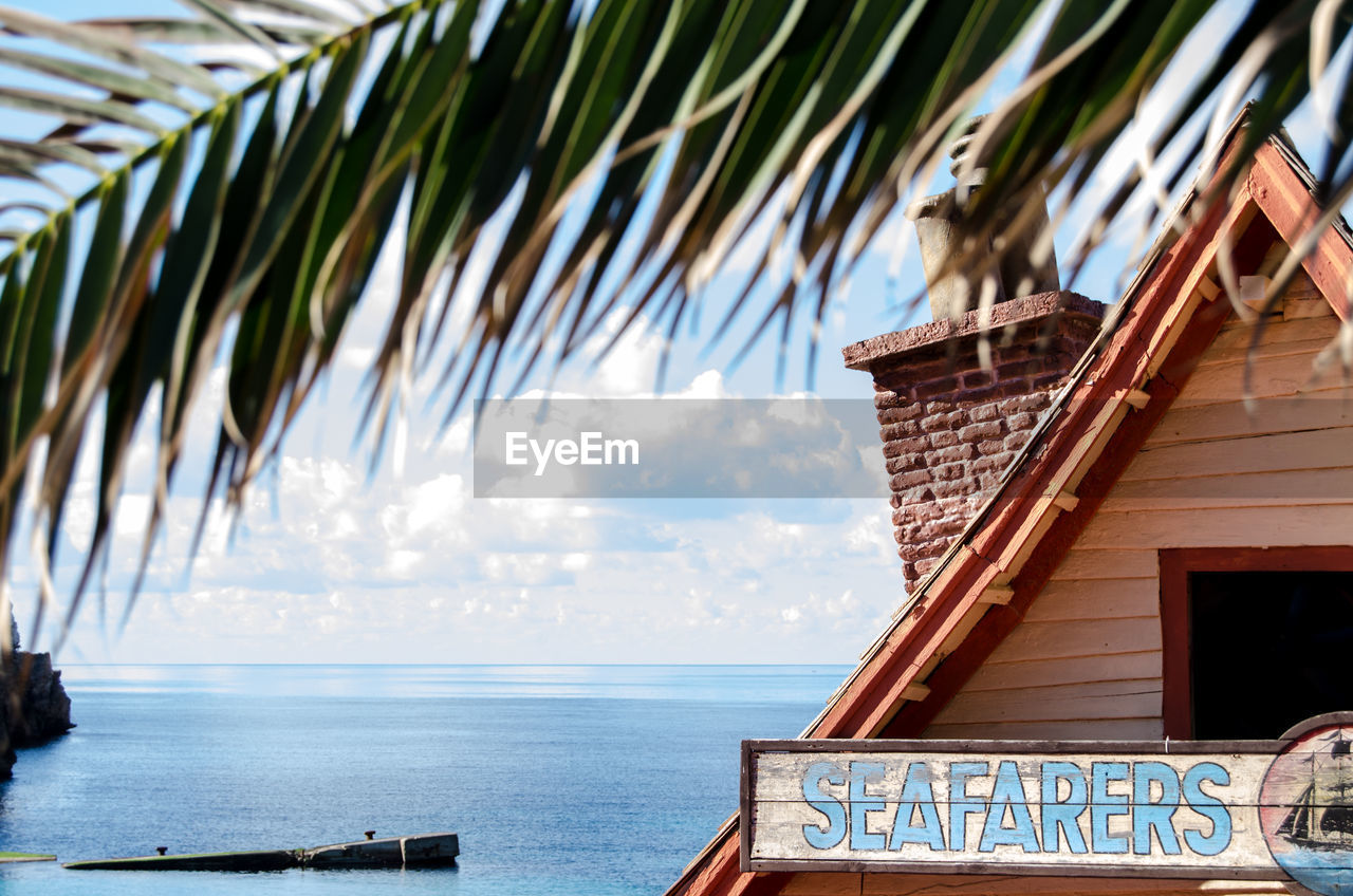 LOW ANGLE VIEW OF PALM TREE BY SEA AGAINST SKY