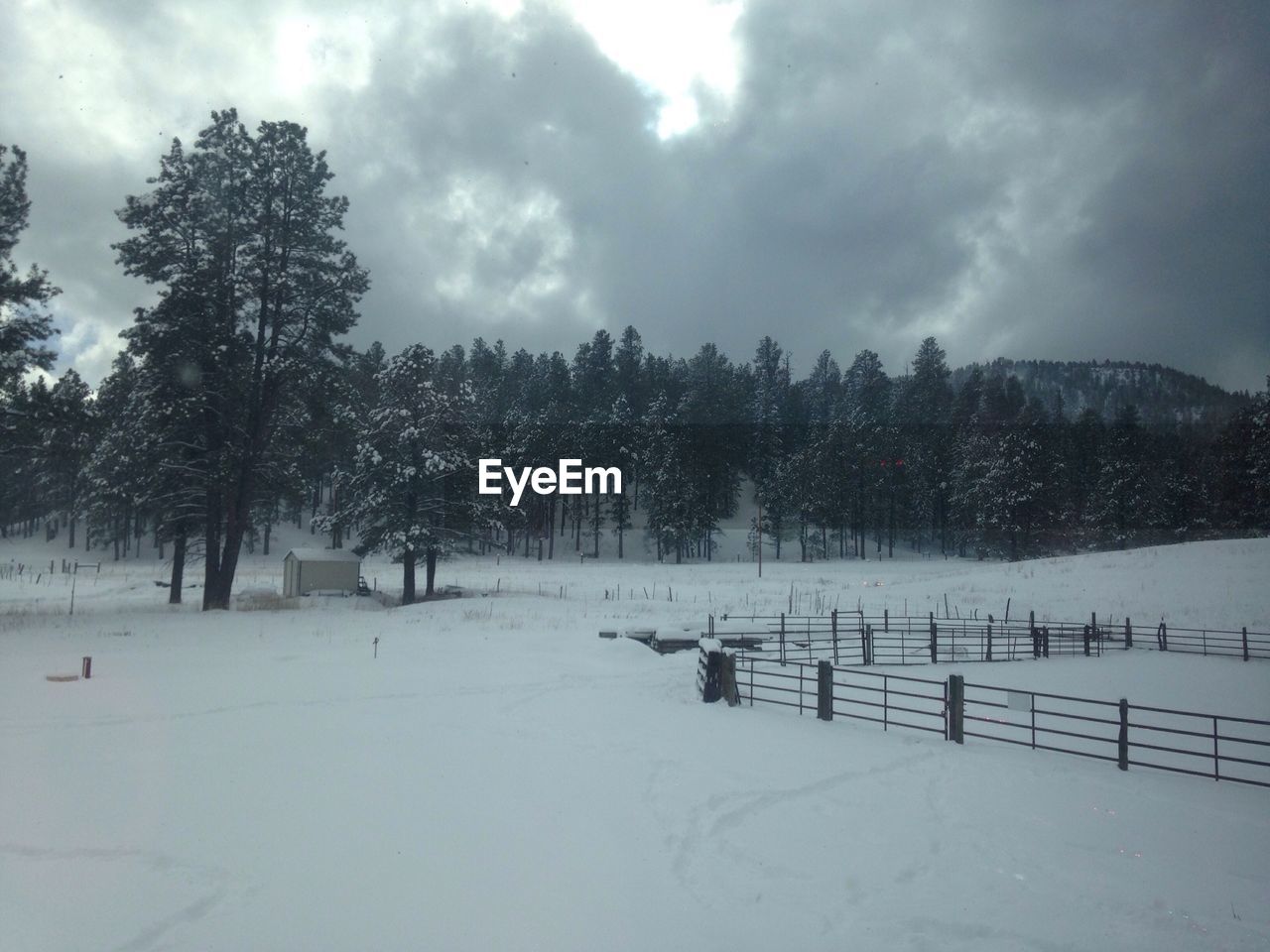 Fence by trees on snow covered field against cloudy sky