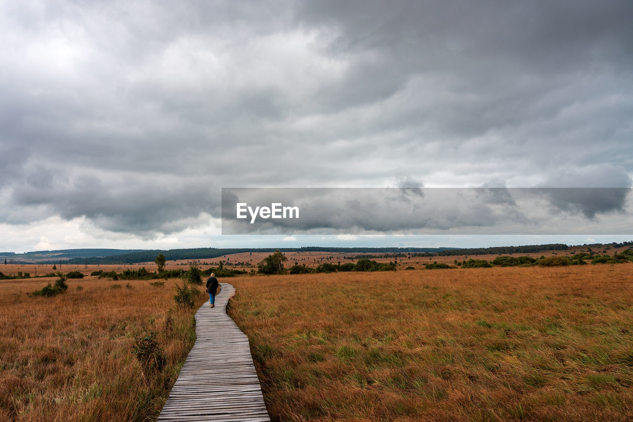 Rear view of woman amidst landscape on boardwalk