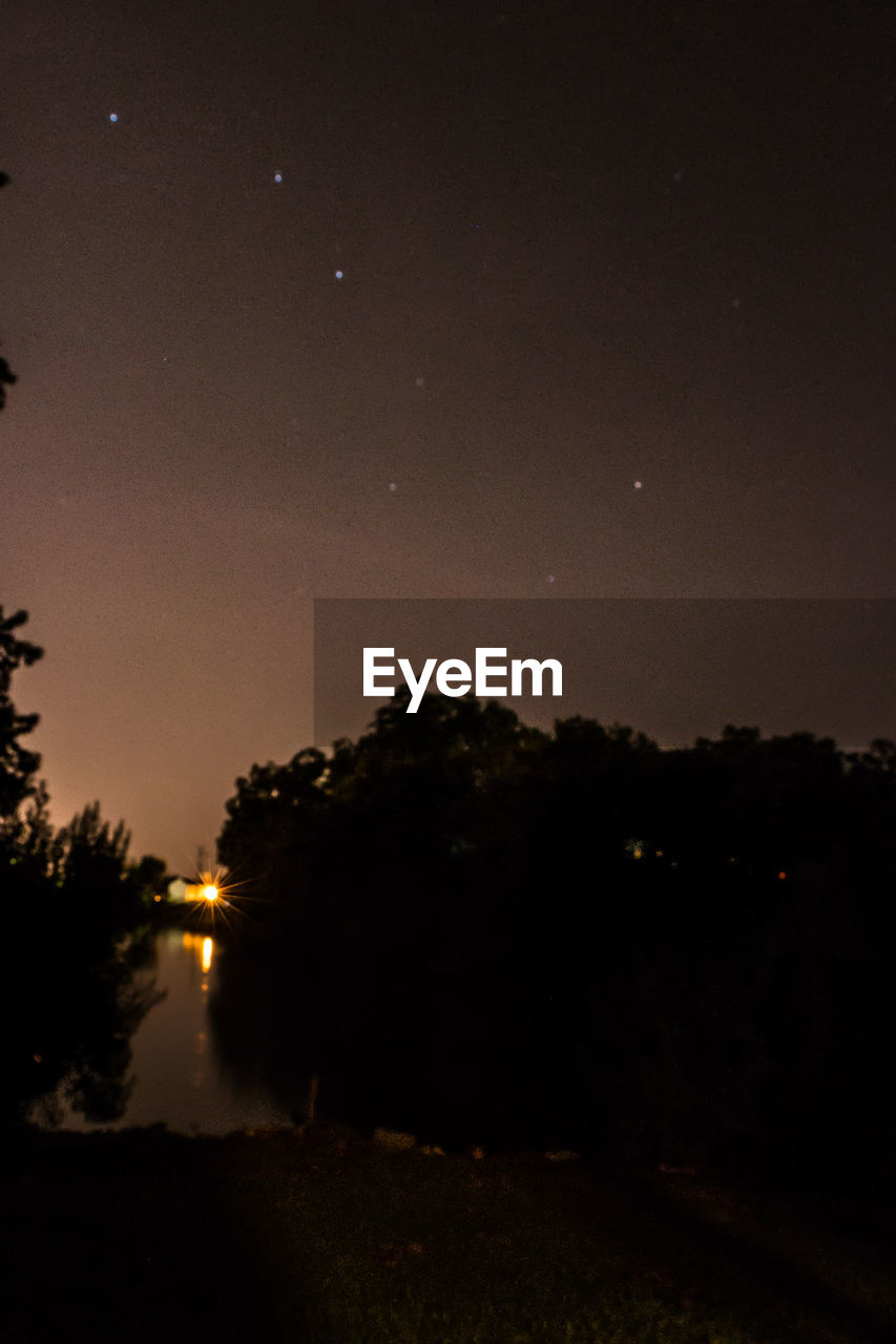 TREES AT NIGHT