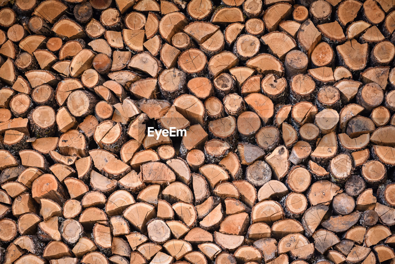 Full frame shot of logs in forest