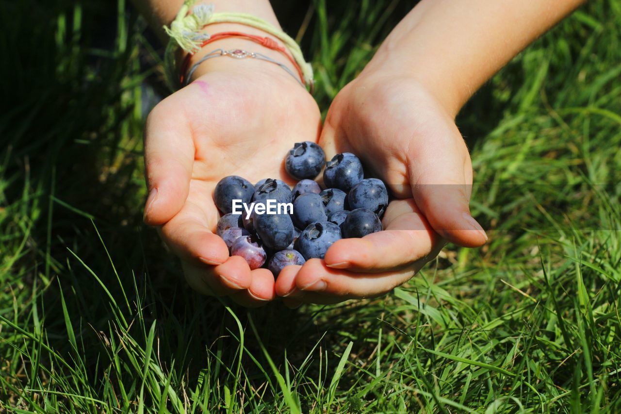 Close-up of hand holding fruit