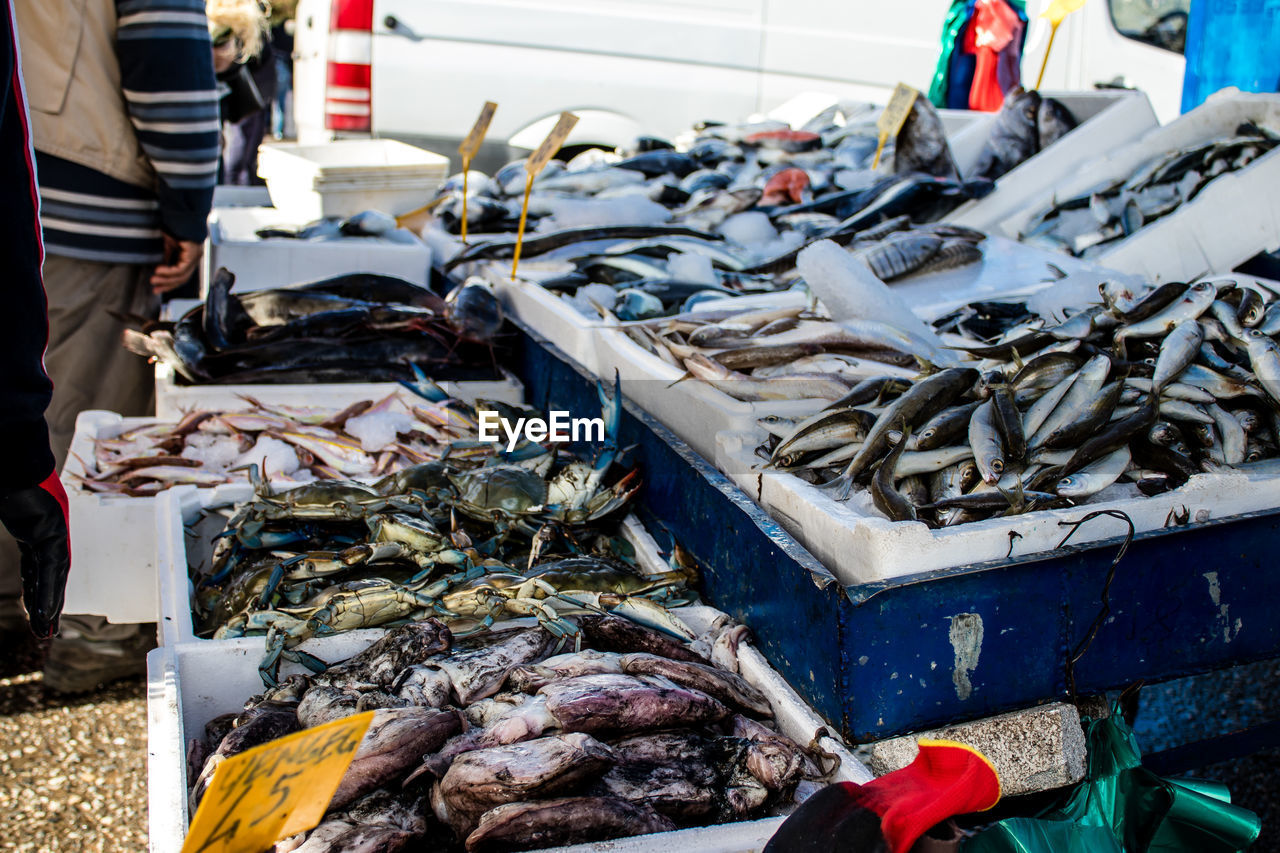 high angle view of fish for sale at market