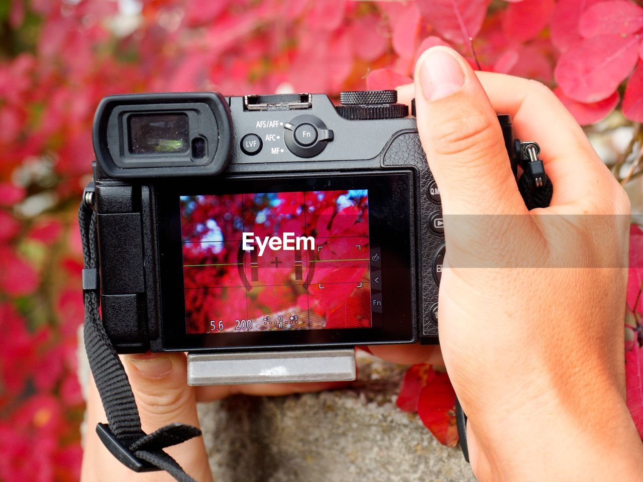 MIDSECTION OF PERSON PHOTOGRAPHING