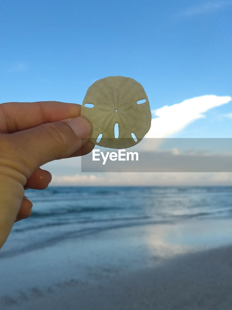 hand, holding, sky, water, sea, one person, blue, beach, nature, finger, land, day, outdoors, ocean, clear sky, adult, leisure activity, focus on foreground, beauty in nature, close-up, reflection