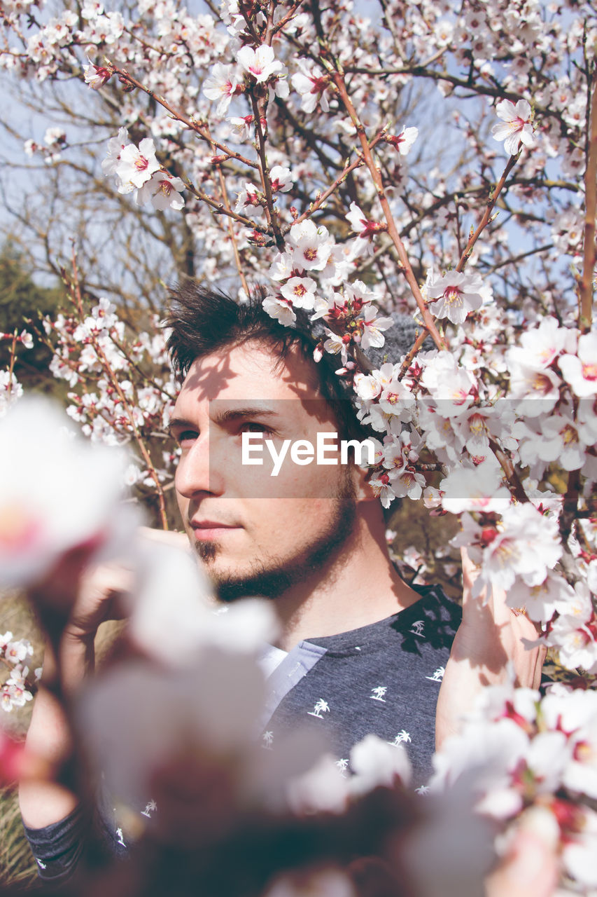 Man looking away while standing by cherry tree