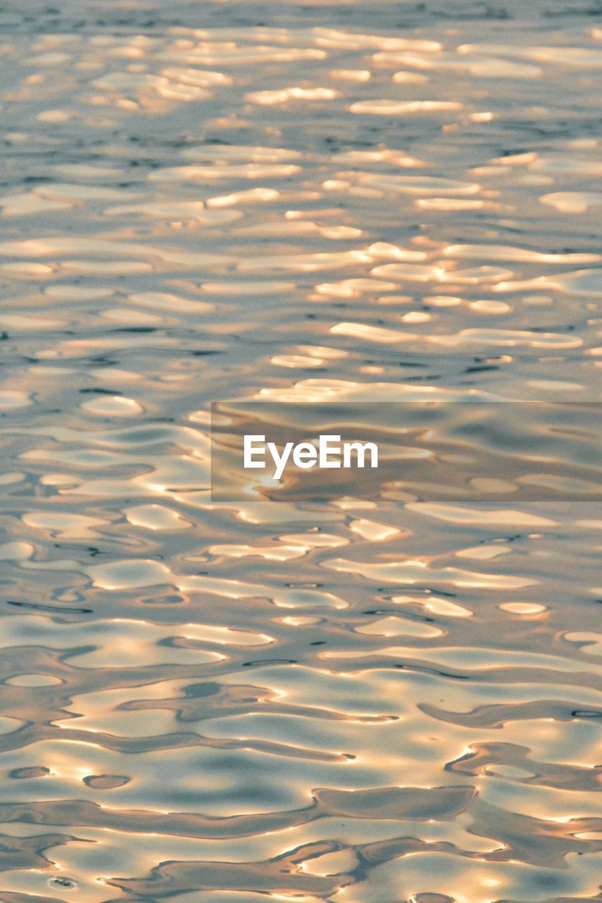 FULL FRAME SHOT OF SWIMMING IN LAKE