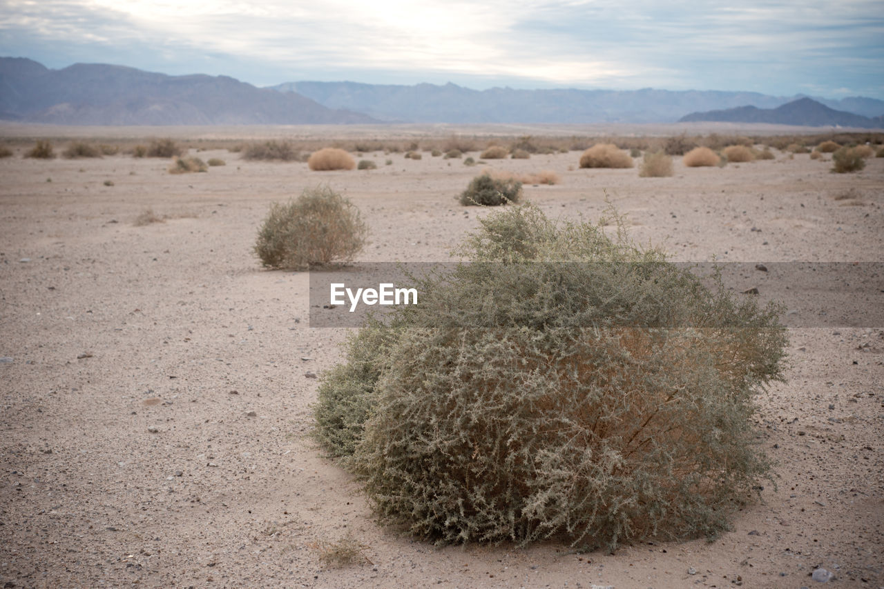 VIEW OF DESERT AGAINST SKY