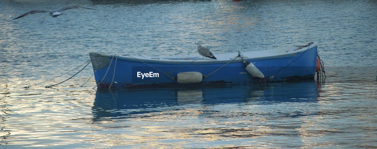 Boat in a sea