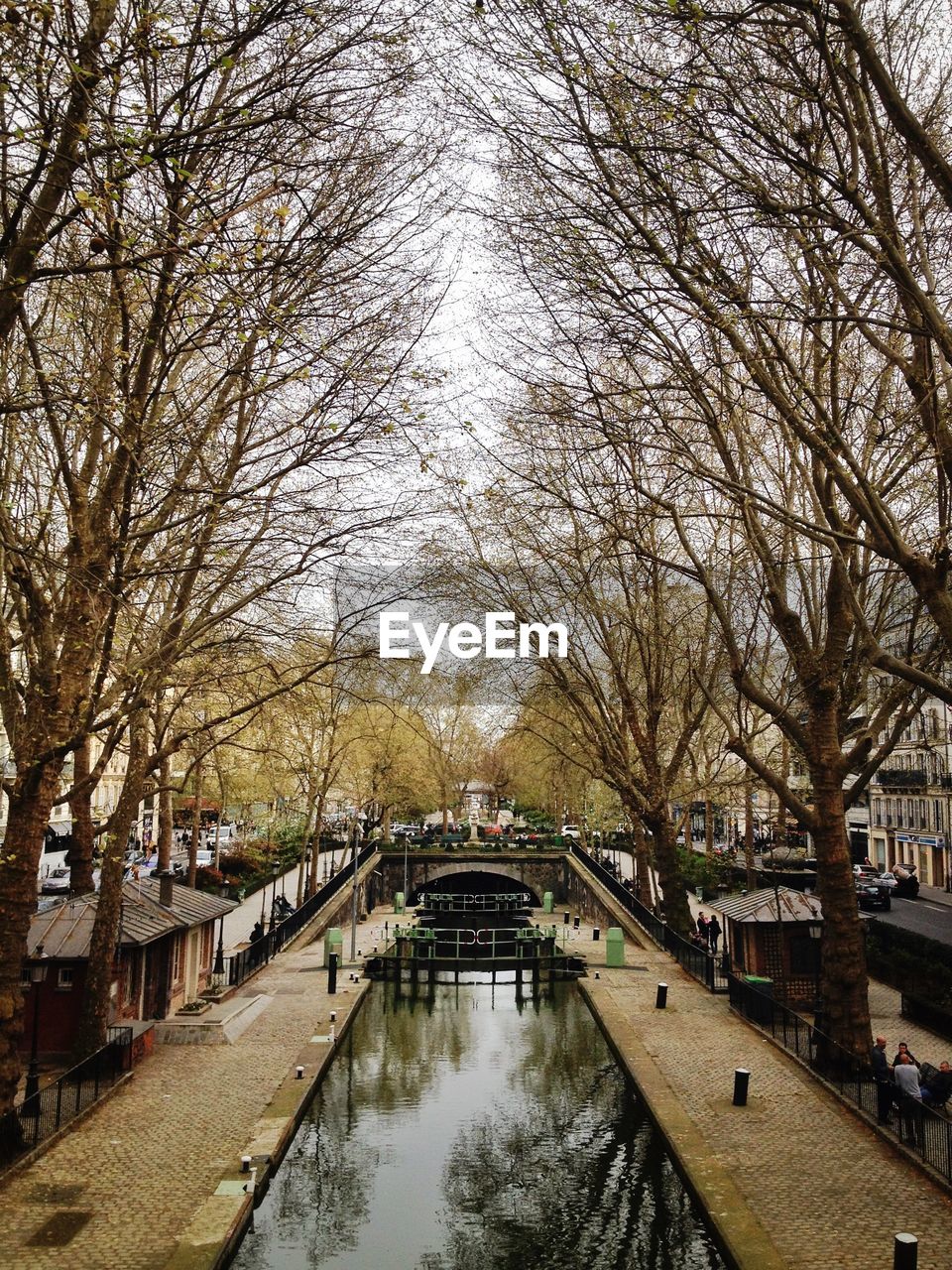 Canal saint-martin amidst bare trees