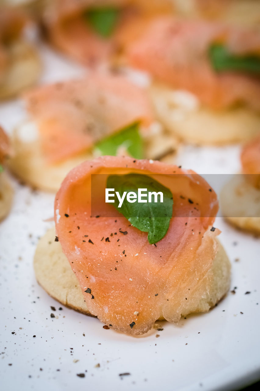 Close-up of seafood served in plate