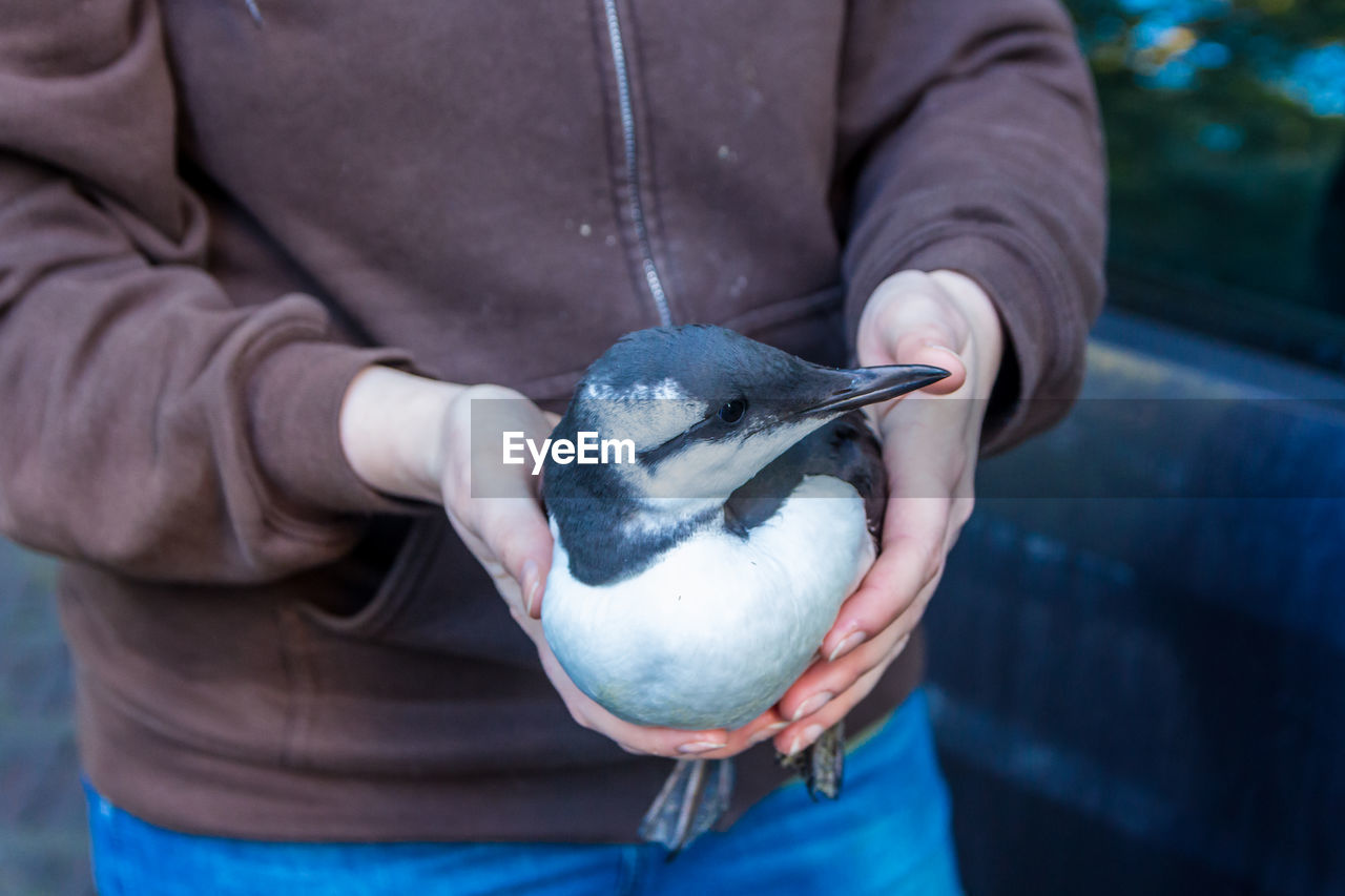 CLOSE-UP OF PERSON HOLDING BIRD