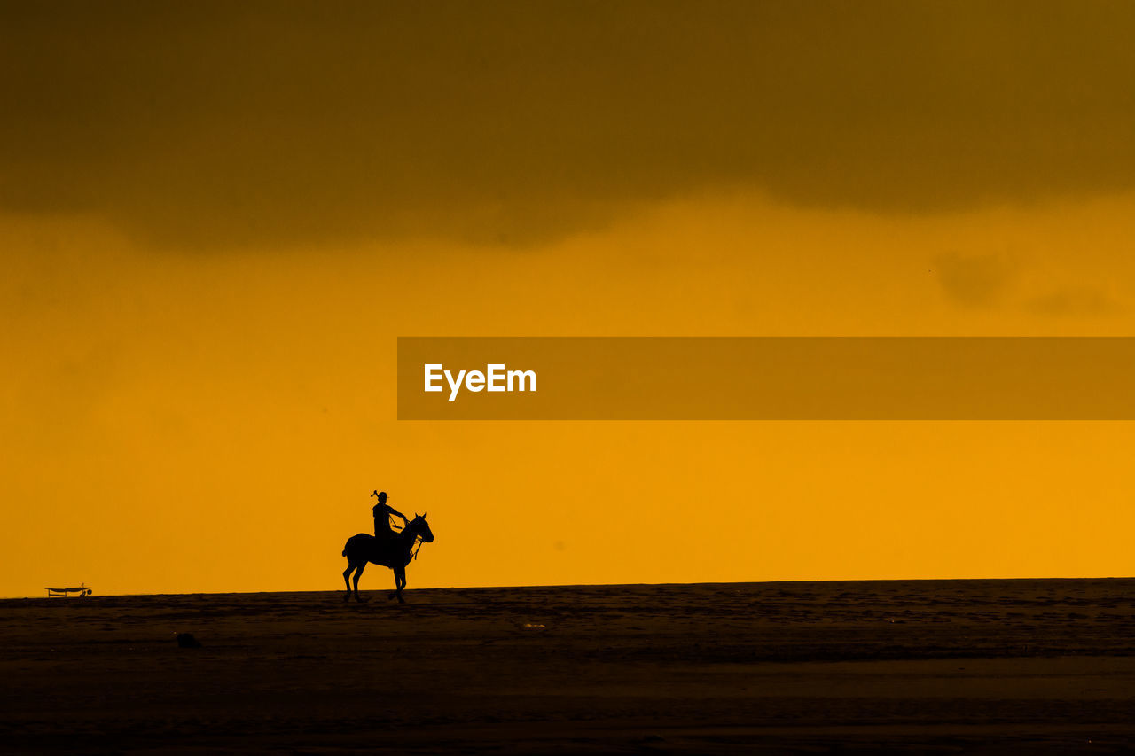 Silhouette of man playing polo 
