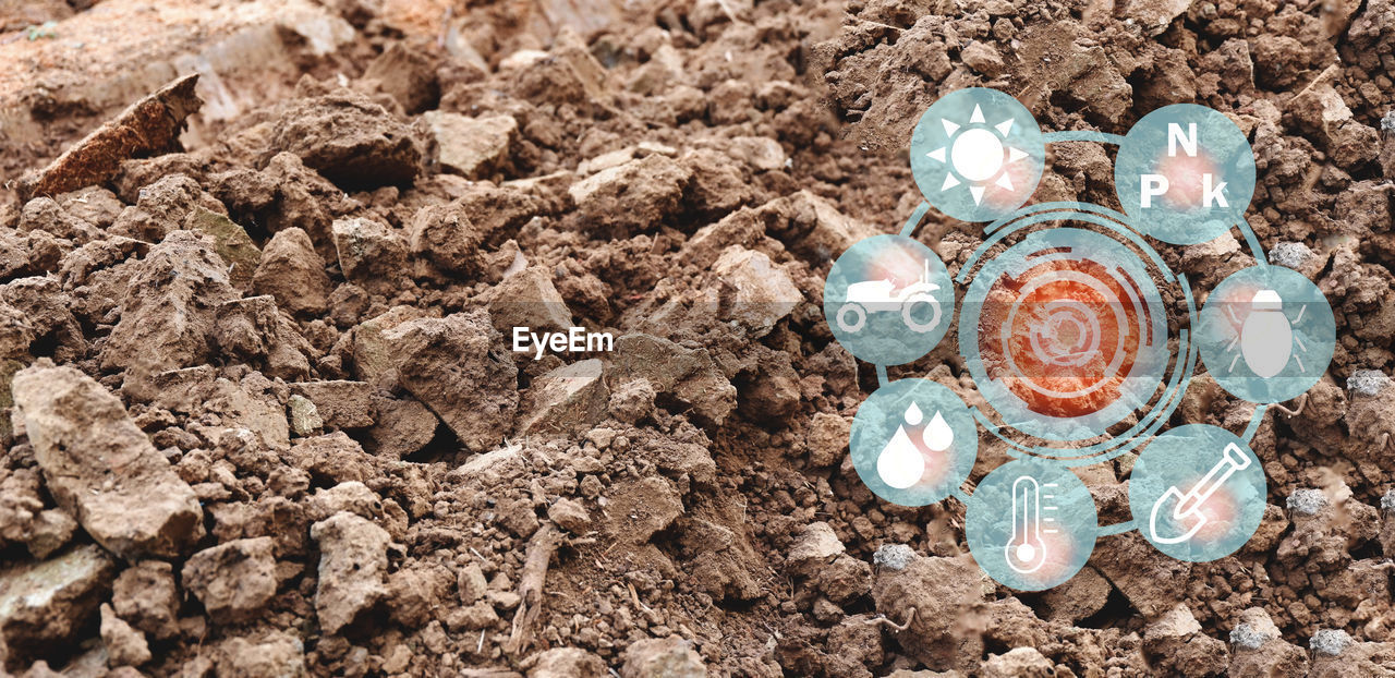 soil, high angle view, land, nature, no people, day, field, flower, outdoors, dirt, rock, directly above, close-up