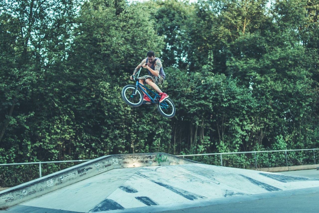 PEOPLE RIDING BICYCLE ON TREE