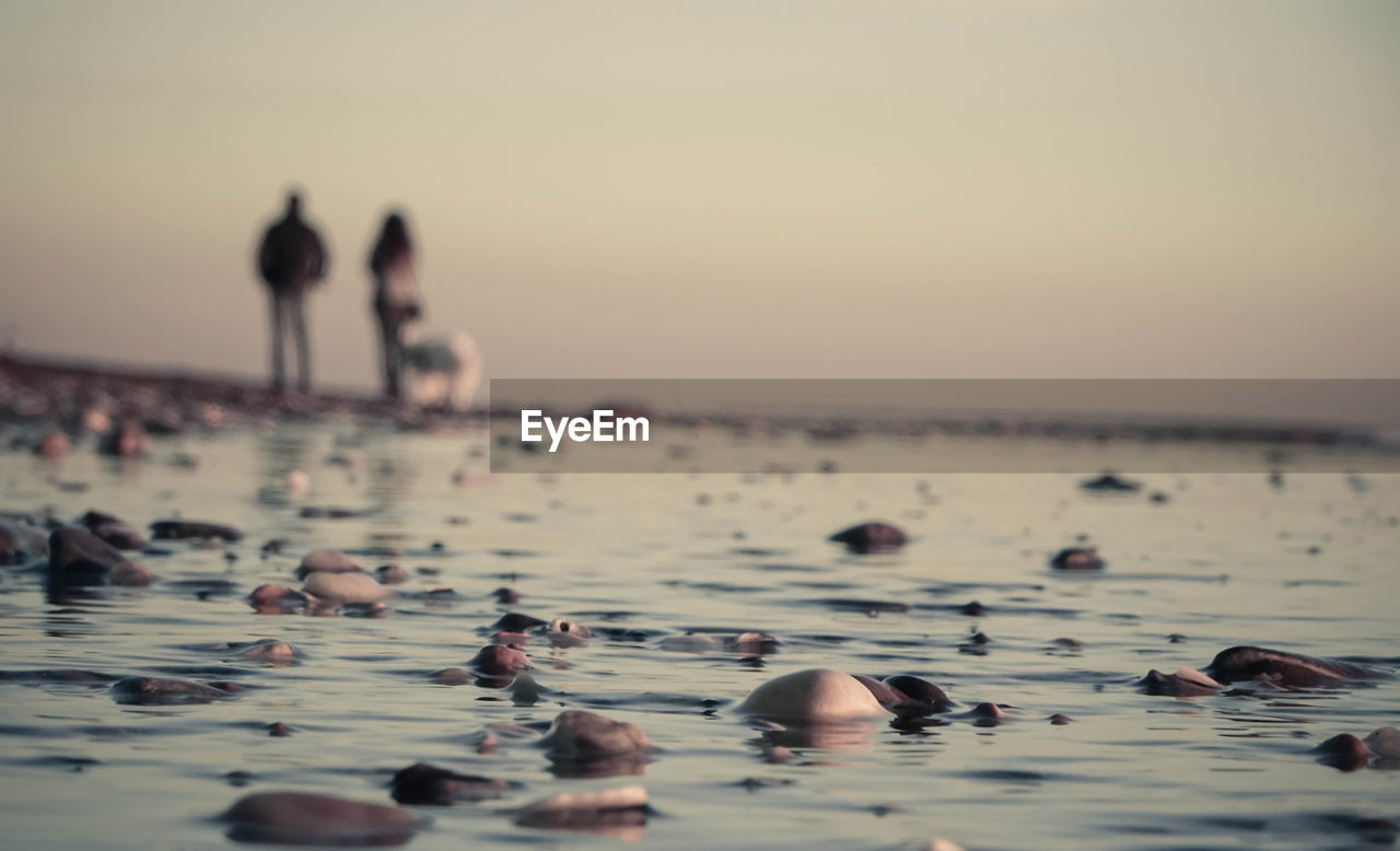 GROUP OF PEOPLE SWIMMING IN SEA