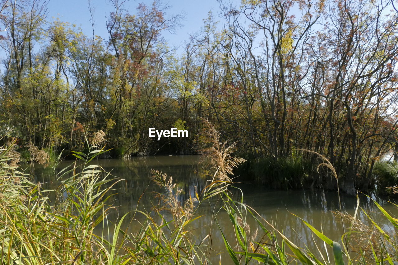 SCENIC VIEW OF LAKE