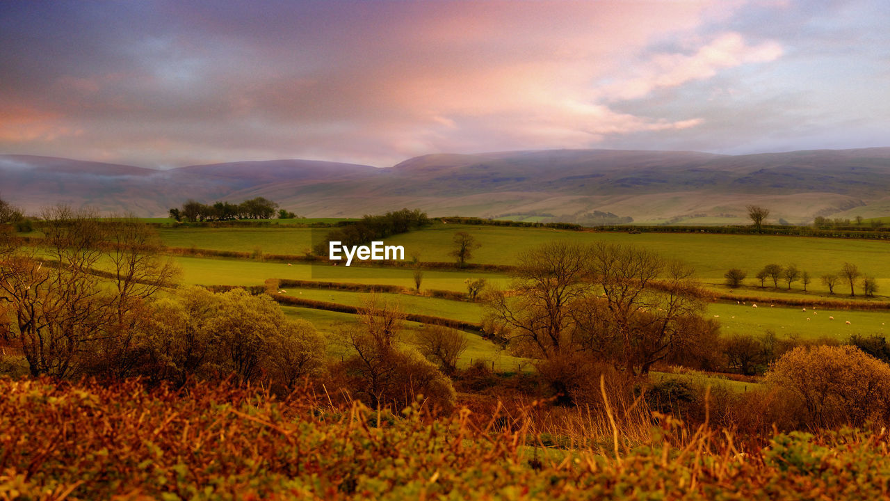 Scenic view of agricultural field against dramatic sky