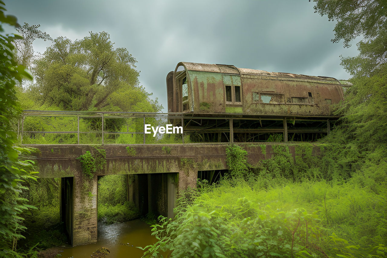 plant, architecture, tree, built structure, nature, transport, water, rural area, bridge, sky, cloud, no people, abandoned, transportation, forest, green, river, environment, building exterior, outdoors, waterway, old, land, history, landscape, rolling stock, day, building