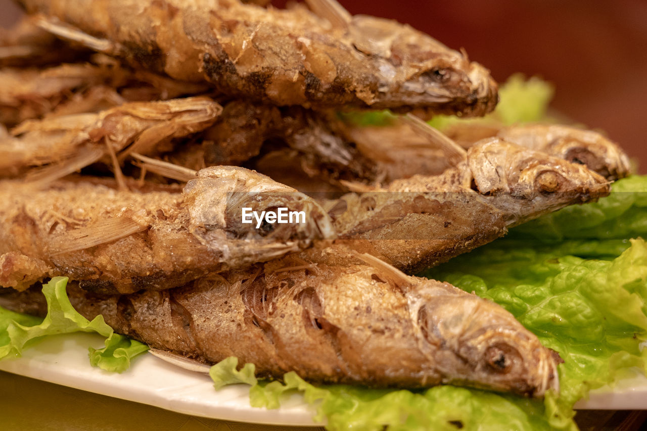 Close-up of food in plate