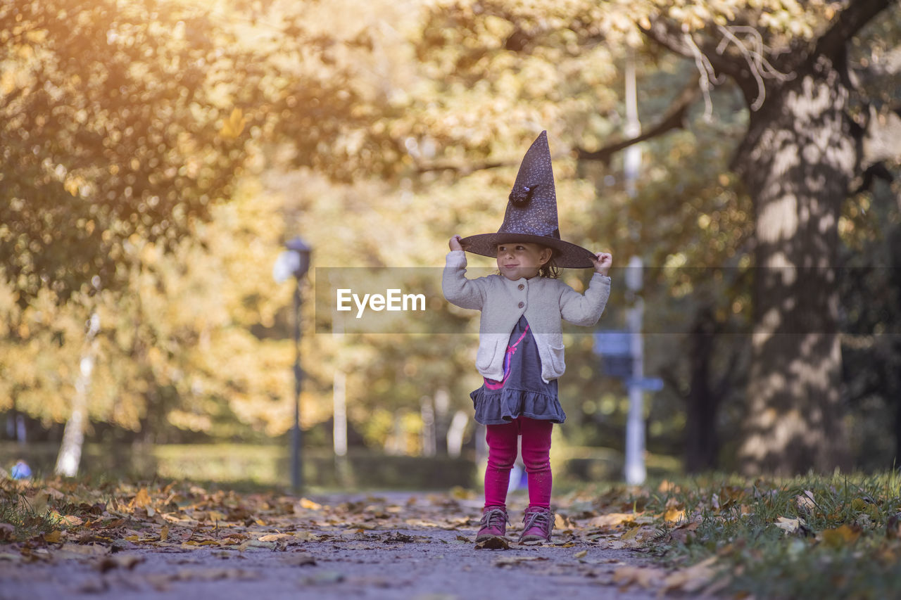 Little cute toddler witch in a hat stands in autumn park on sunny day. halloween celebration