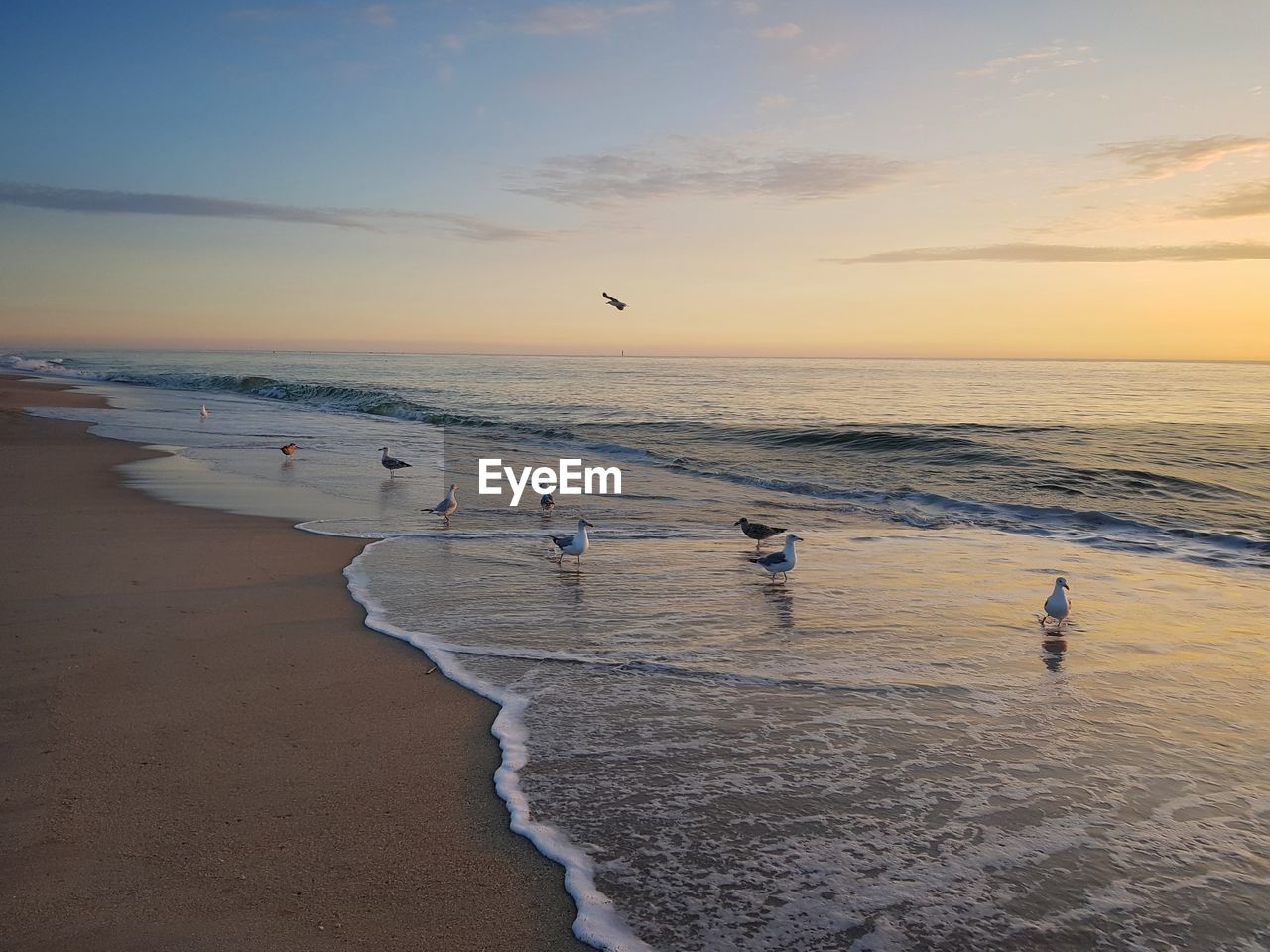 SCENIC VIEW OF BEACH DURING SUNSET